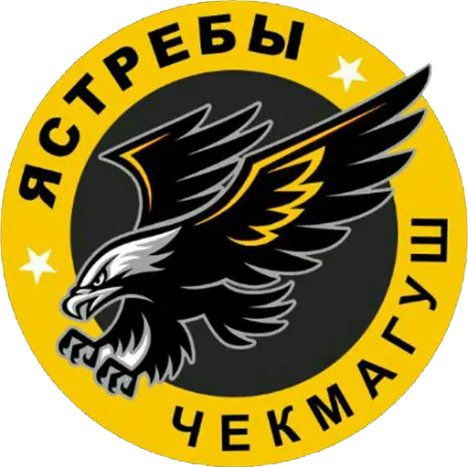логотип команды