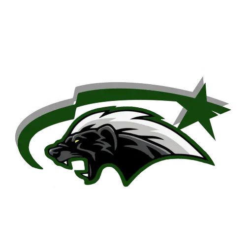 логотип команды