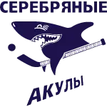 логотип команды