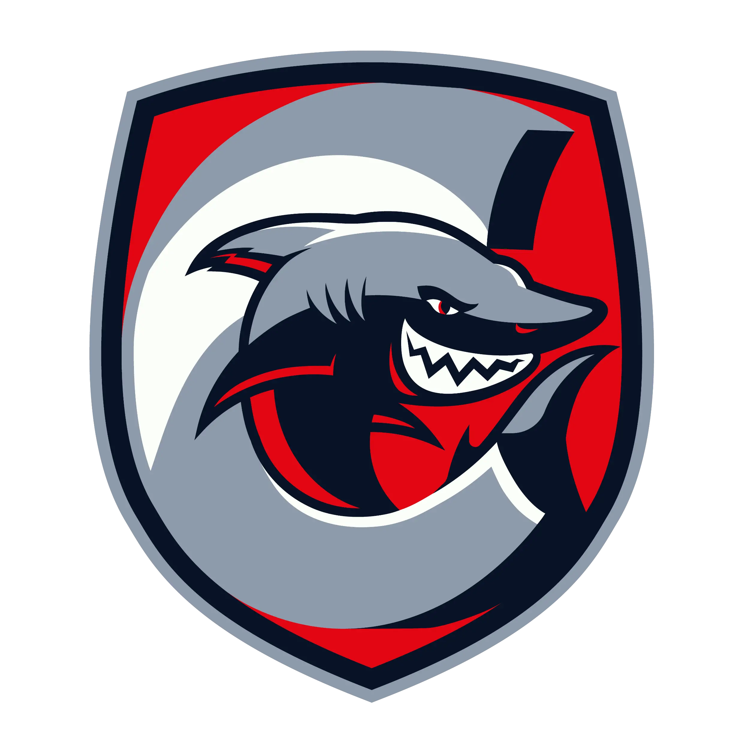 логотип команды