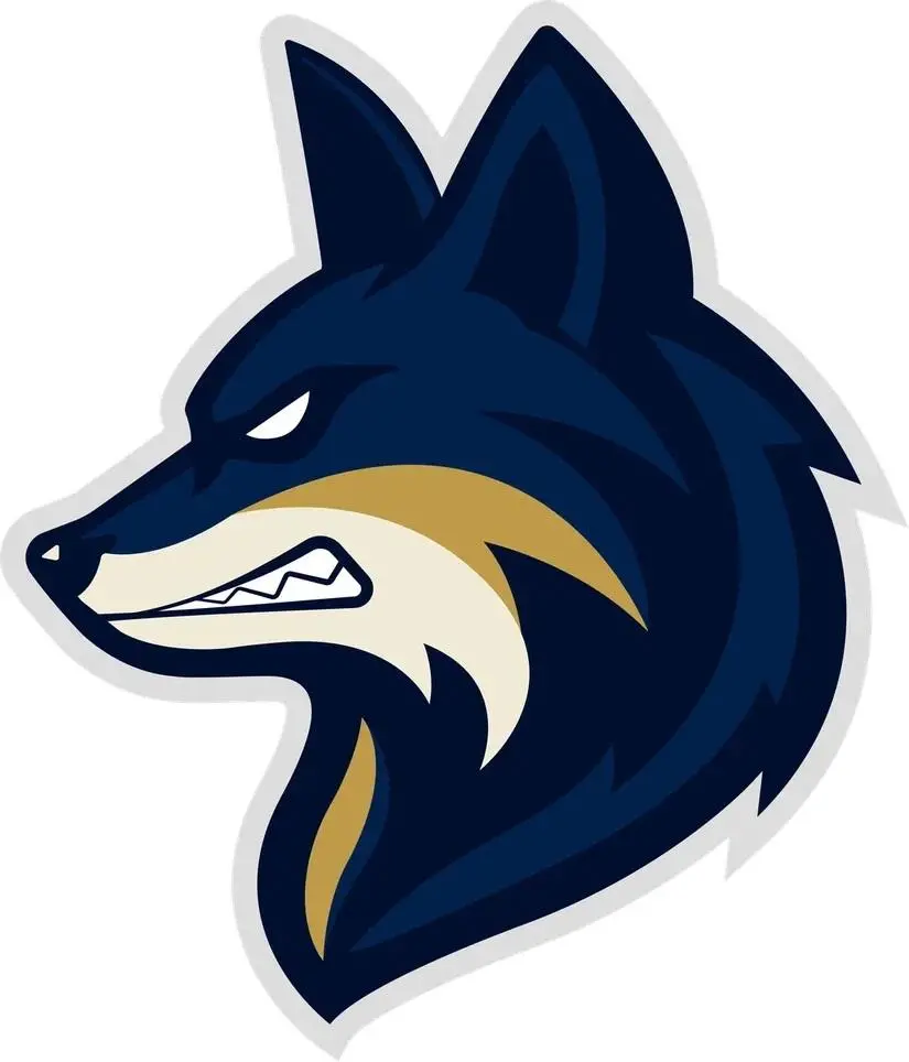 логотип команды