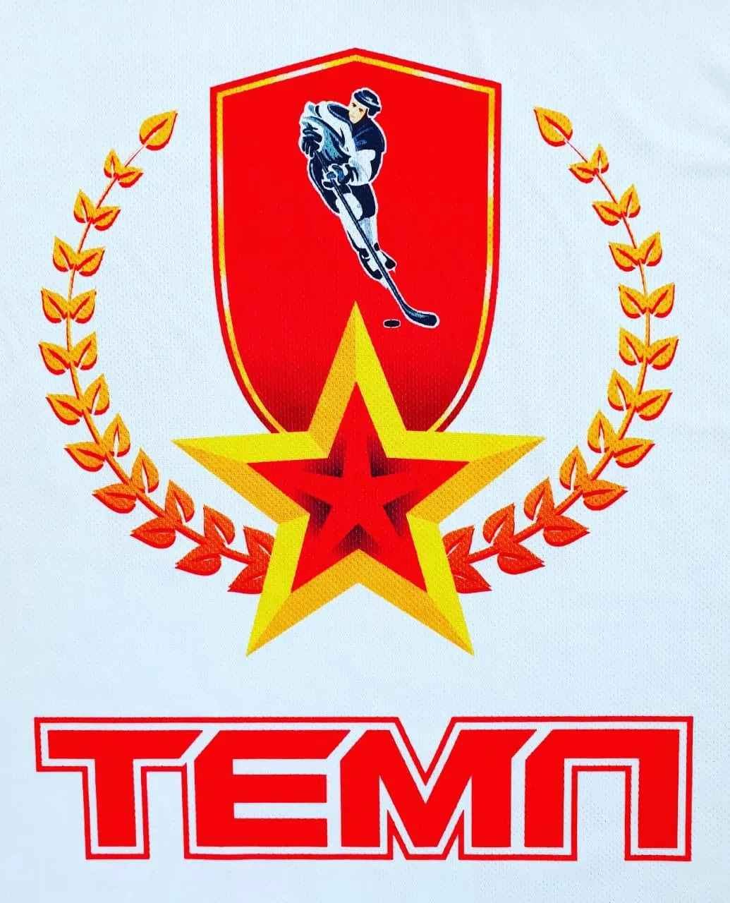 логотип команды