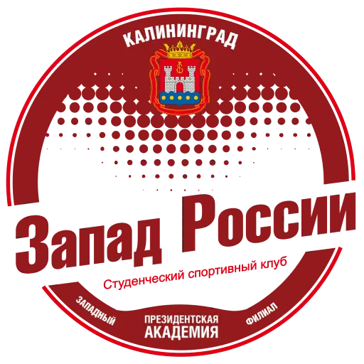 логотип команды