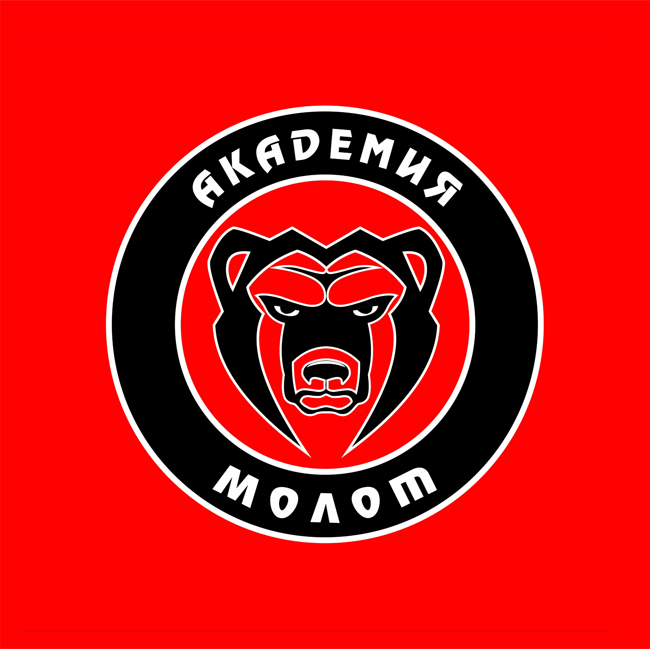 логотип команды