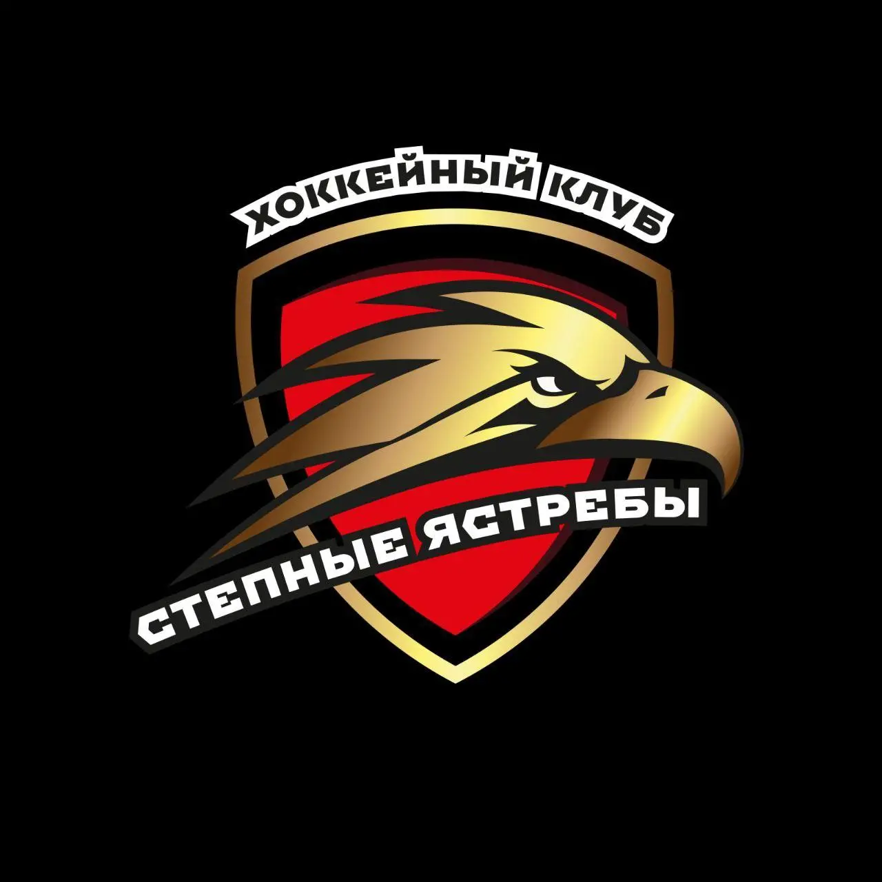 логотип команды