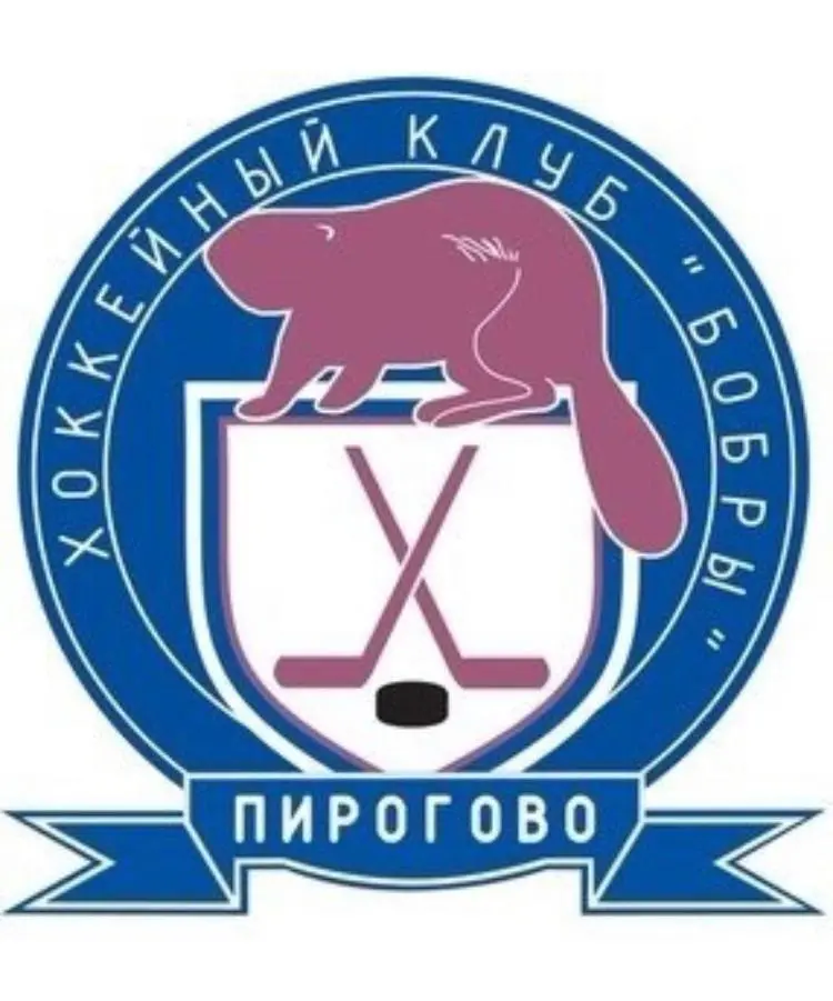 логотип команды