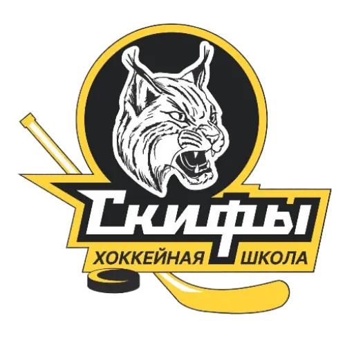 логотип команды