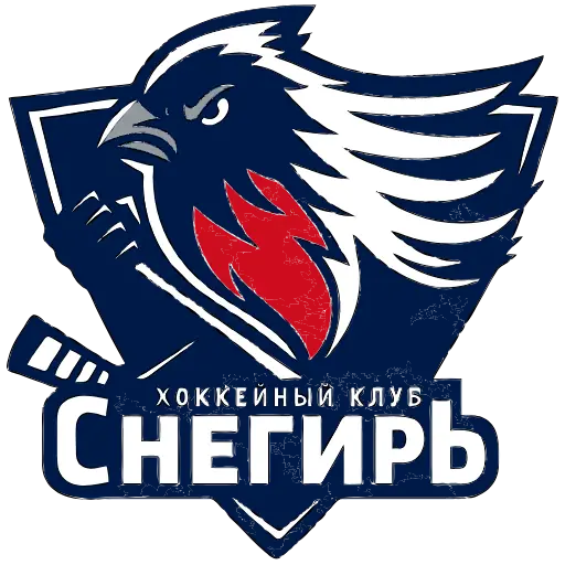 логотип команды