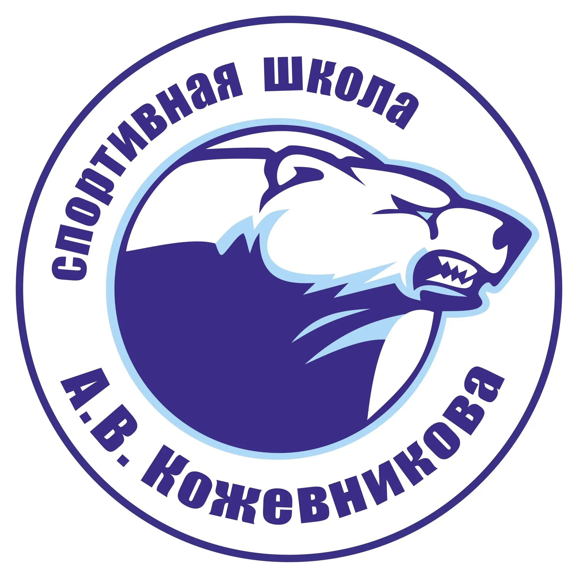 логотип команды