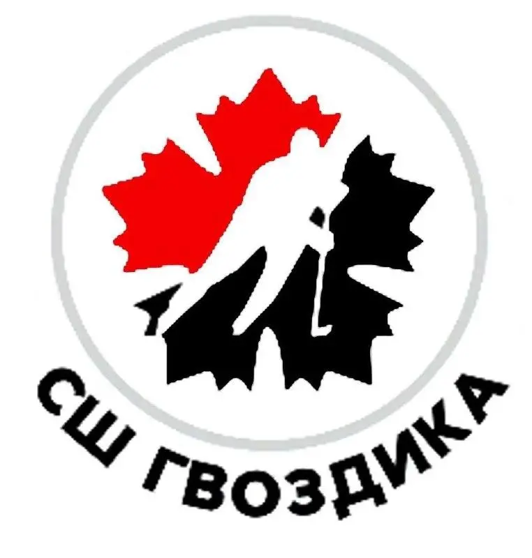 логотип команды