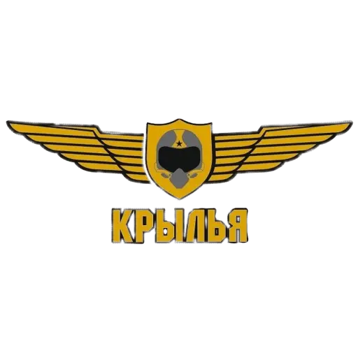 логотип команды