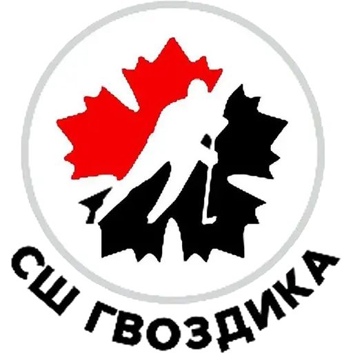 логотип команды