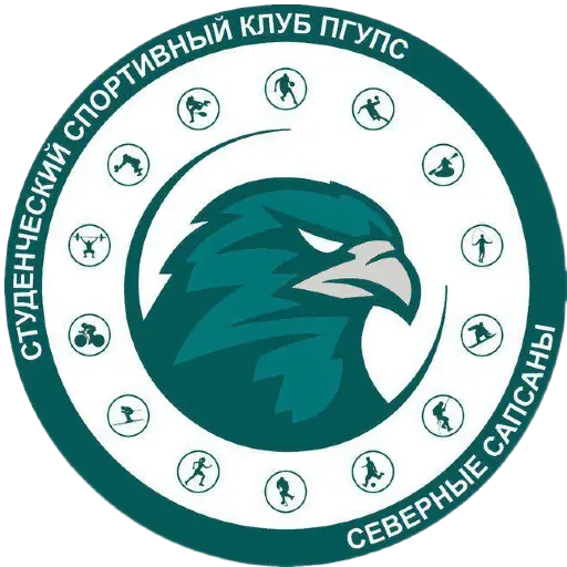 логотип команды