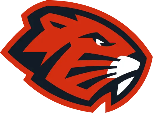 логотип команды