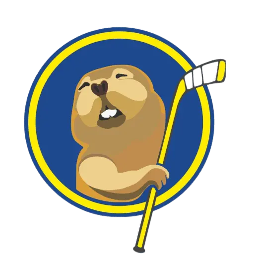 логотип команды