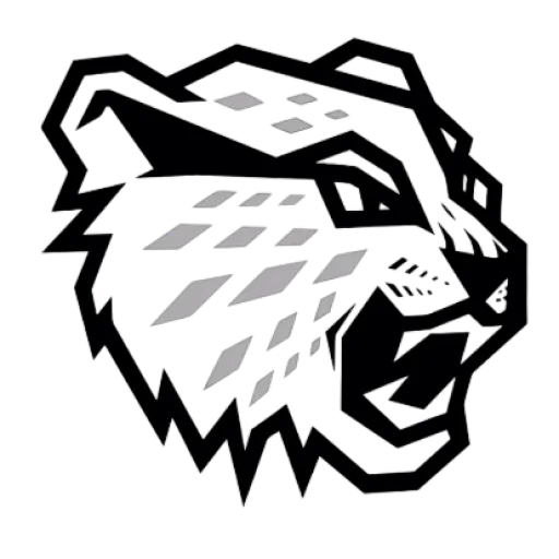 логотип команды