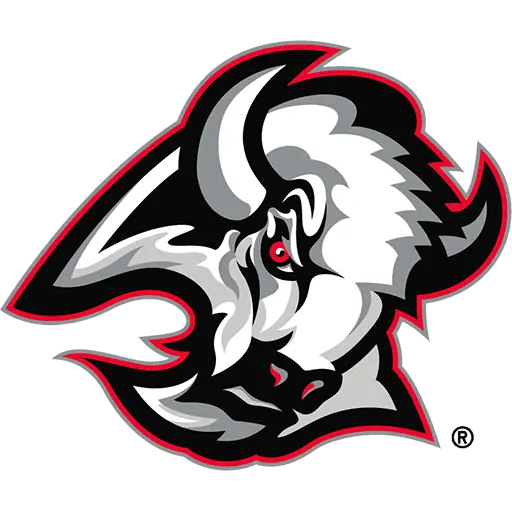 логотип команды