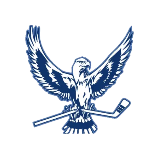 логотип команды