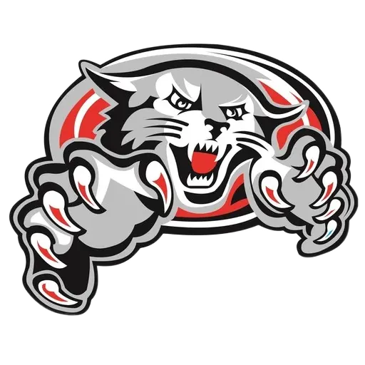 логотип команды