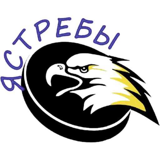логотип команды