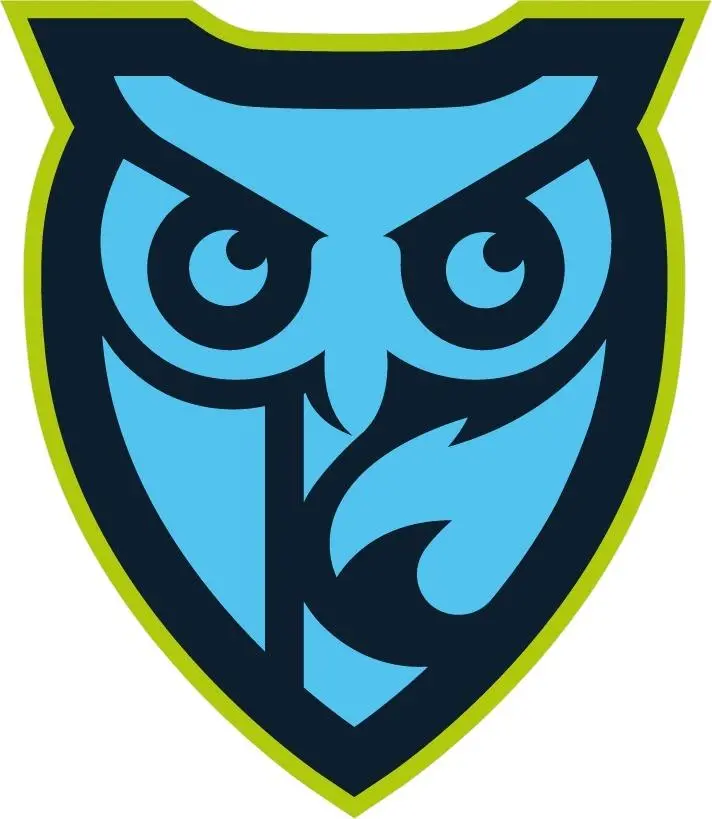 логотип команды