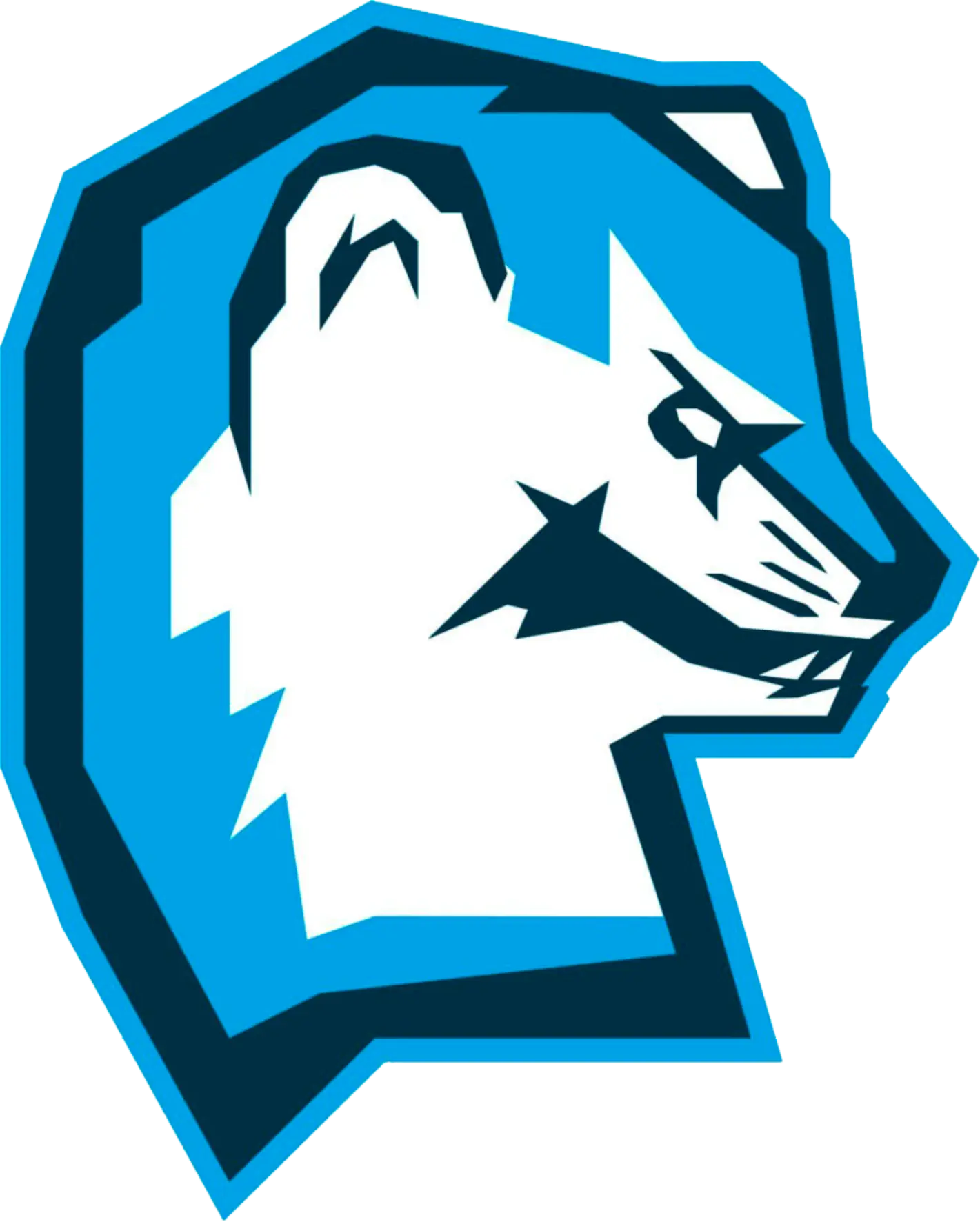 логотип команды