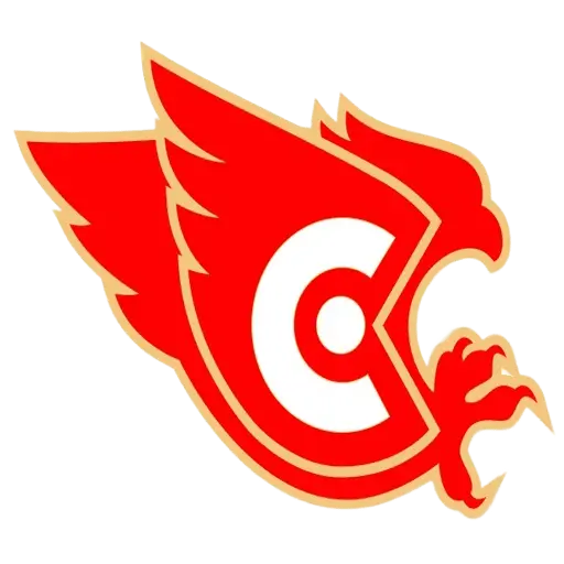 логотип команды