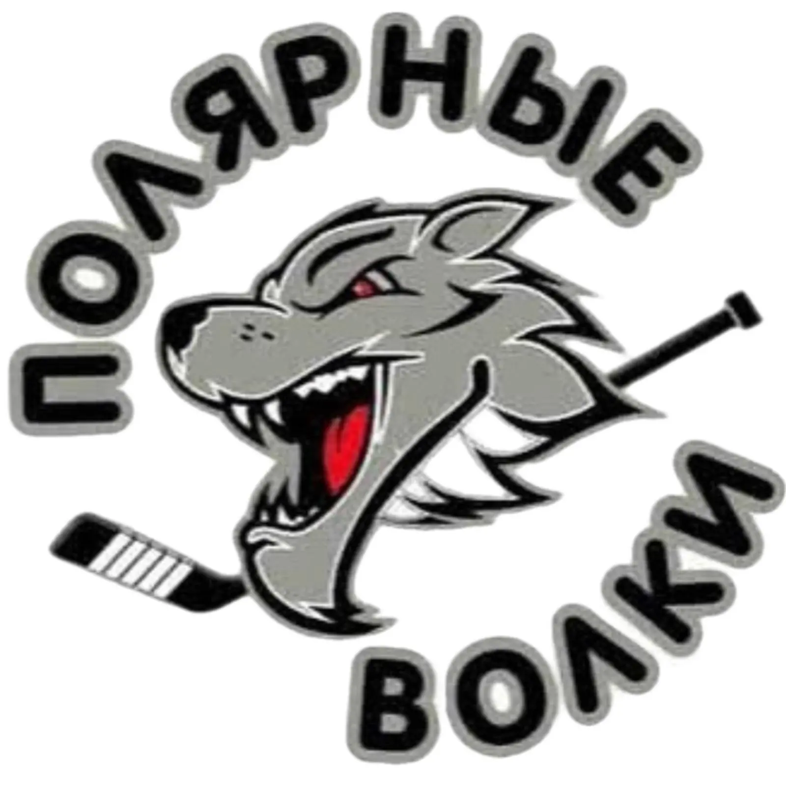 логотип команды