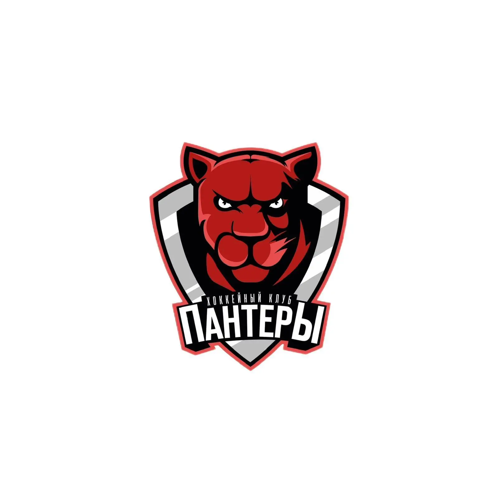 логотип команды