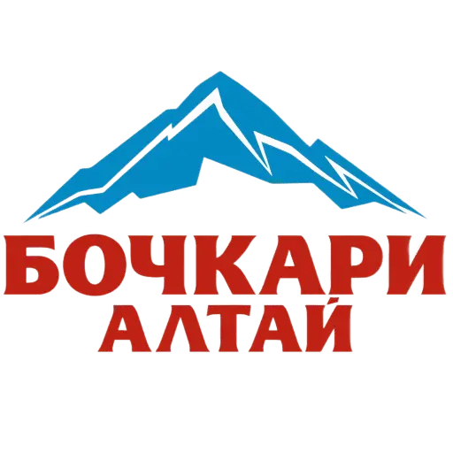 логотип команды